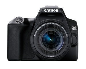 24.1MP, APS-C CMOS Sensor, DiG!C 8, 3.0" LCD, Wi-Fi/NFC/Bluetooth, Touch Screen, Full HD 60p Video Recording, Continuous Shooting up to 5fps, SD Card, LP-E17 Battery.